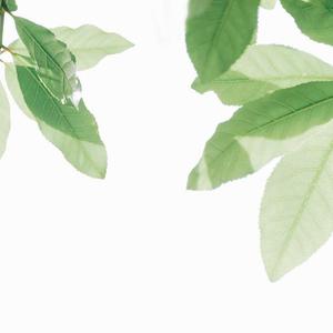 朵利亚张开双腿被强❌
