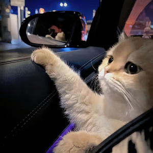 朵利亚张开双腿被强❌
